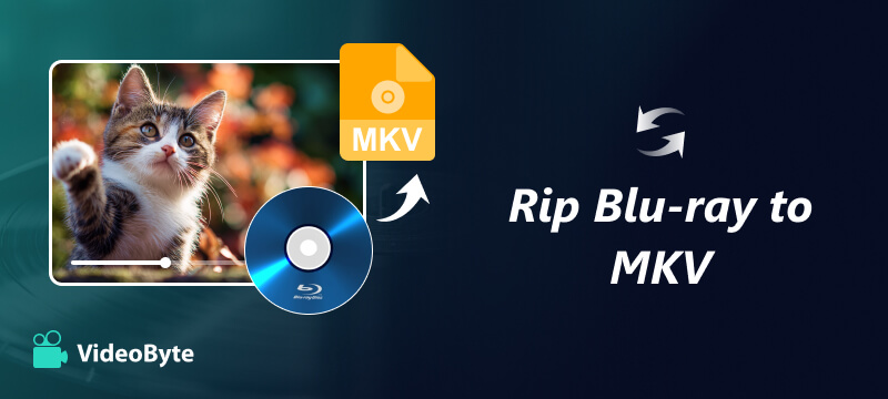 Rip Blu Ray to MKV