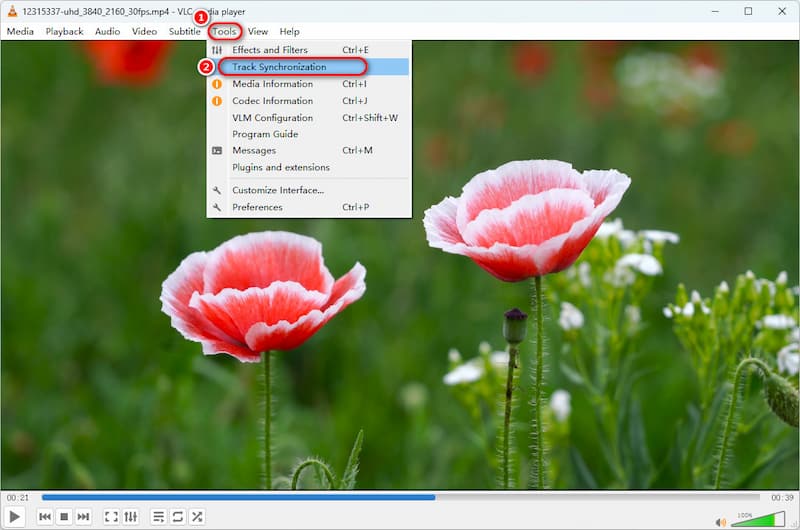 VLC How to Delay Subtitles