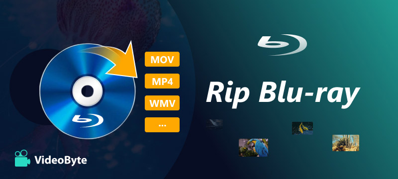 Rip Blu-ray