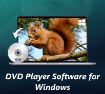 DVD Player Software for Windows